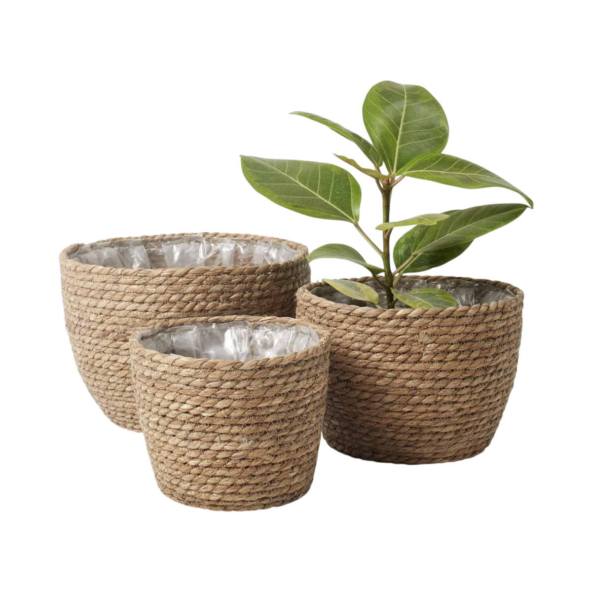 Seagrass Planter Pots – Set of 3