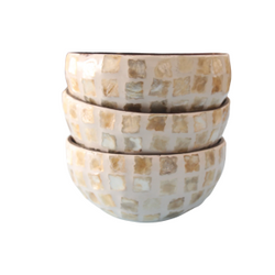 Coconut MOP Bowl From Viet Nam