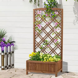 Raised Bed with Lattice Trellis