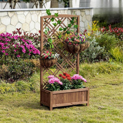 Raised Bed with Lattice Trellis