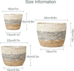 3-Color Seagrass Planter Pots – Set of 3