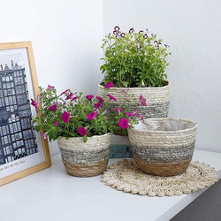 3-Color Seagrass Planter Pots – Set of 3