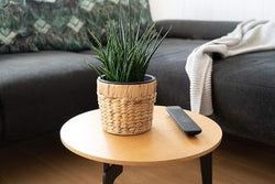 Water Hyacinth Planter Pots with Liner
