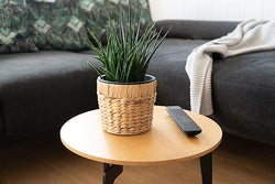 Water Hyacinth Planter Pots with Liner