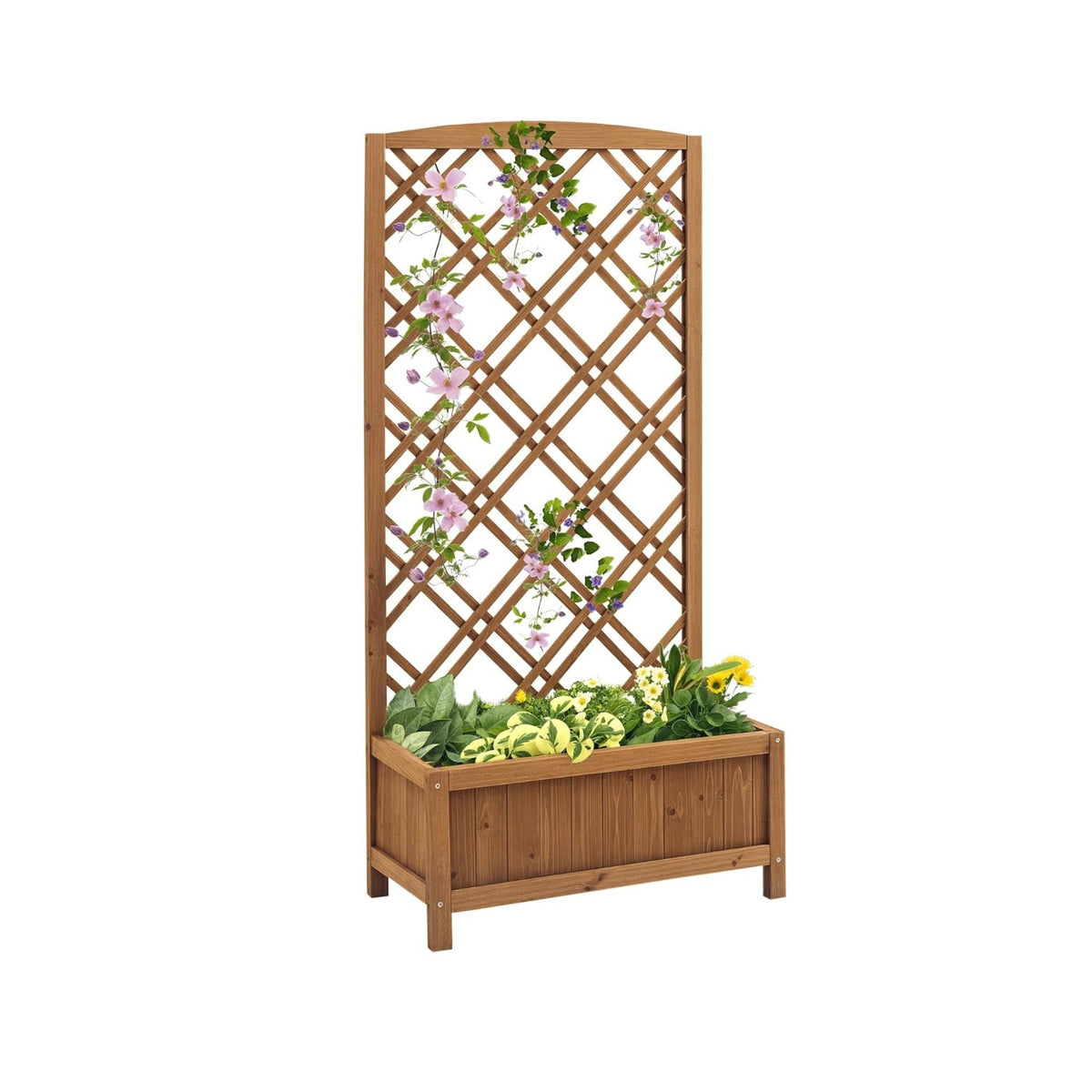 Raised Bed with Lattice Trellis