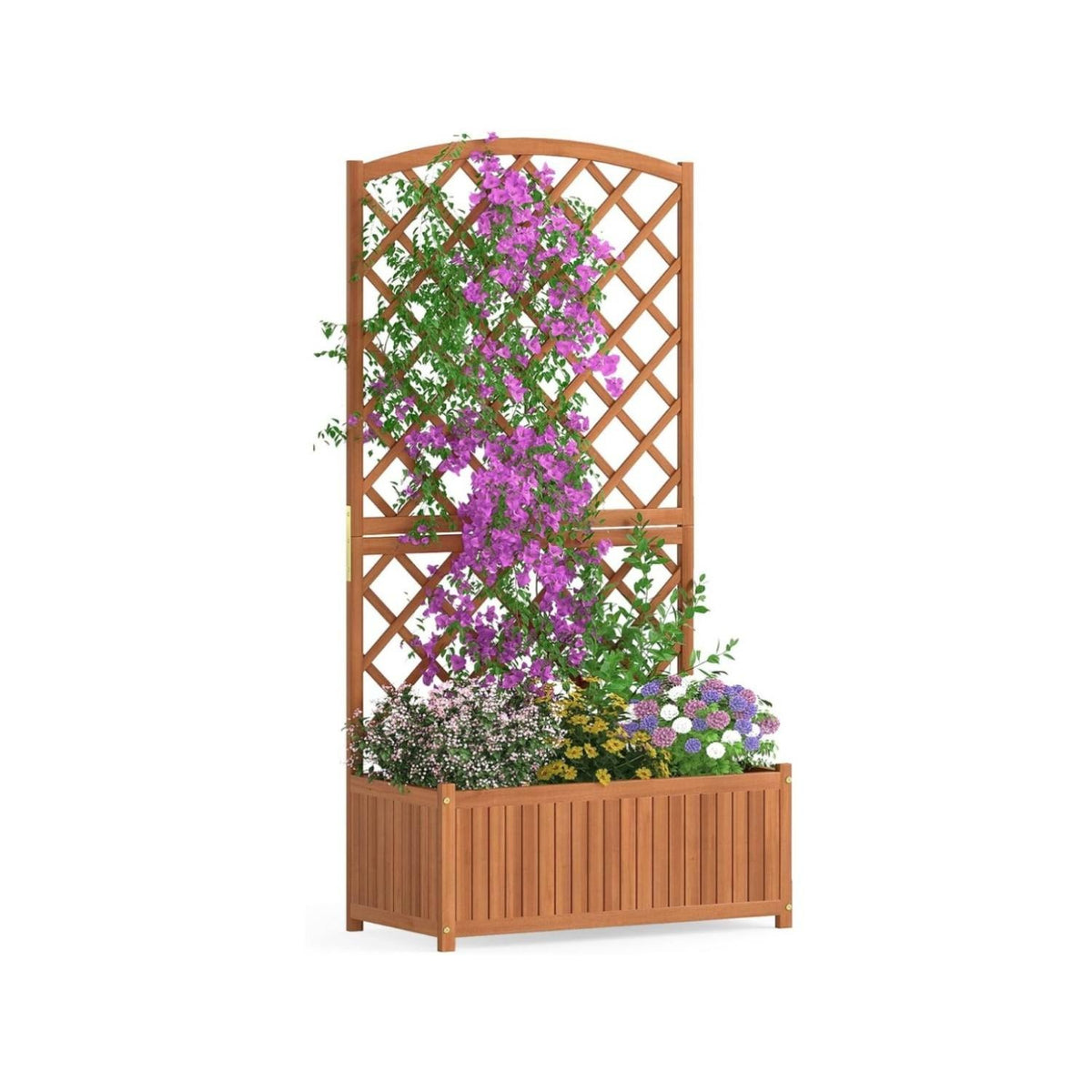 Raised Garden Bed with Trellis