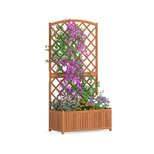 Raised Garden Bed with Trellis