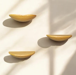 Wall Mounted Floating Shelf